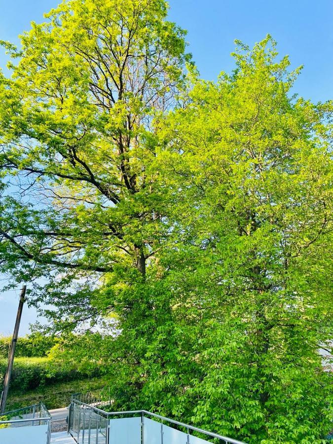 Ferienwohnung Waldblick Kaufungen Extérieur photo